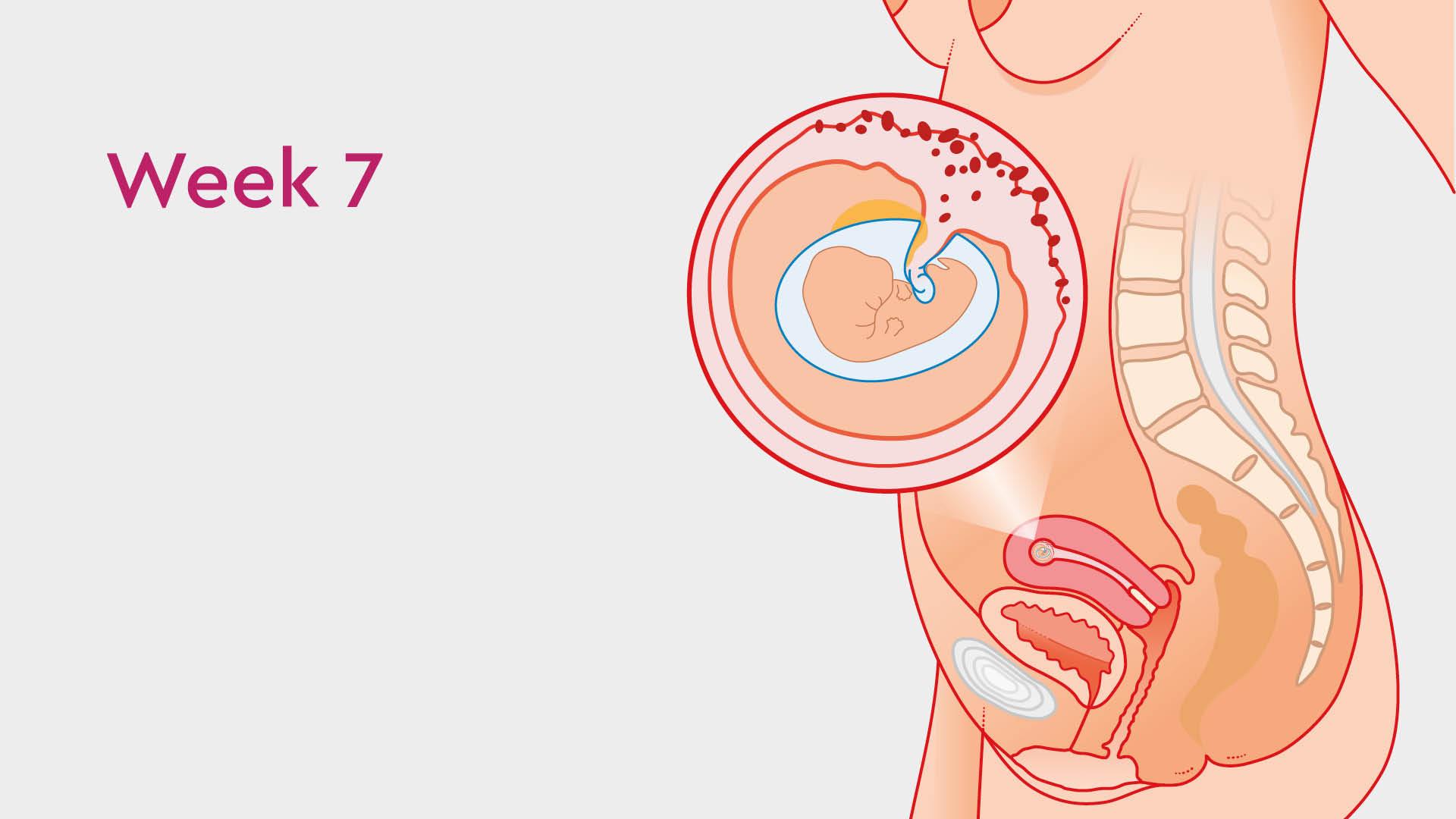 7 week baby sleeping more 2024 than usual